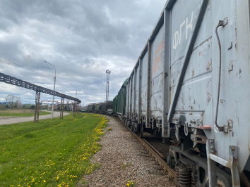 Путин предписал ФАС мониторить цены на вагоны