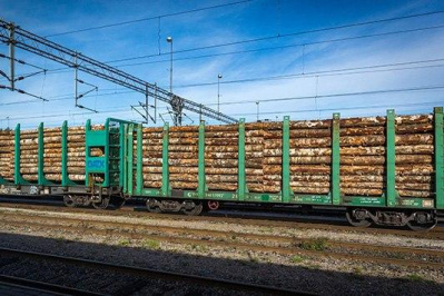 Рынок перевозок лесных грузов демонстрирует тенденции к восстановлению объемов