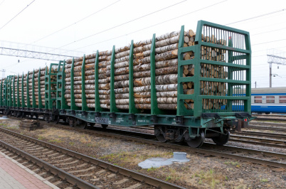 Ространснадзор запретил эксплуатацию вагонов, оборудованных лесными съемными стойками