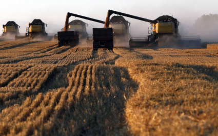 РФ в рамках квоты осталось экспортировать около 850 тыс. тонн зерна