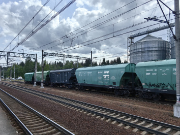 Закупленные в лизинг вагоны для экспорта сельхозпродукции поступили в Курганскую область