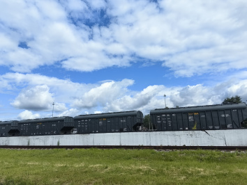 Вагонный парк для экспорта сельхозпродукции появится в Курганской области до конца года