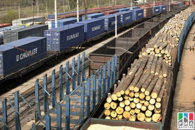 Объем перевозок лесных грузов в контейнерах в 2021 году вырастет на 5,9%