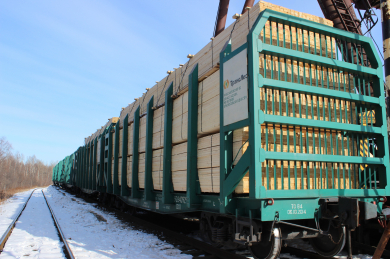 Обзор рынка перевозок лесных грузов за 1-е полугодие 2021 г.